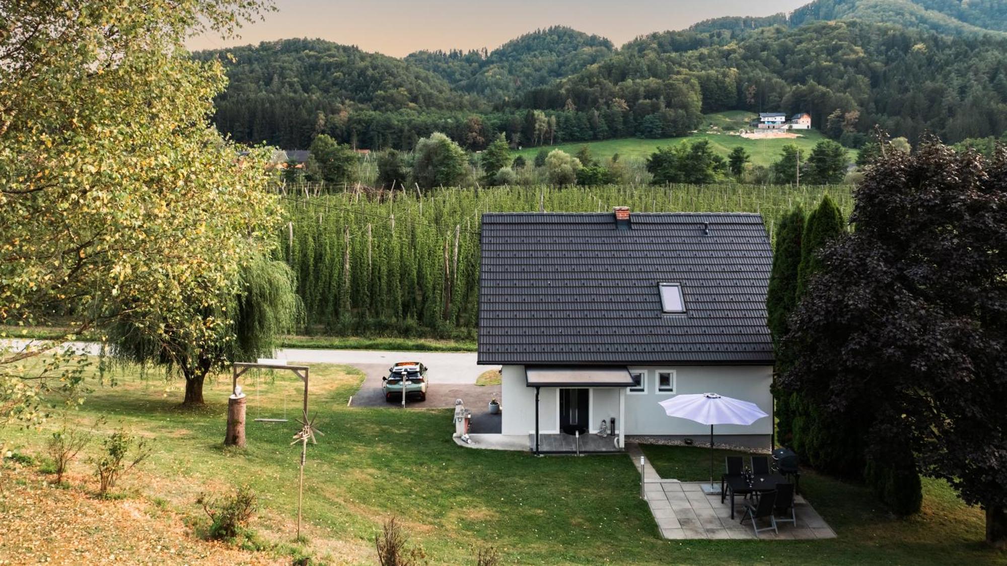 Ferienhaus Treissmann An Der Weinstrasse Лойчах Экстерьер фото